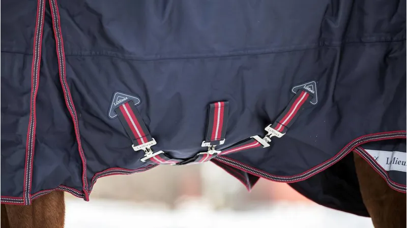 LeMieux Kudos Turnout Rug 350g in Navy-5